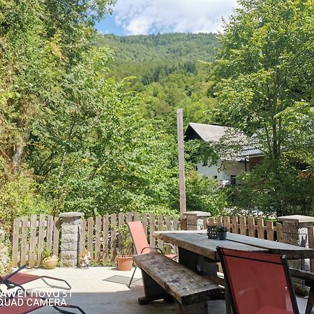 Apartma Bohinji-tó Kültér fotó